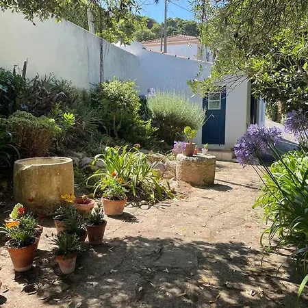 샬레 Charming Guest House With Pool And Garden *