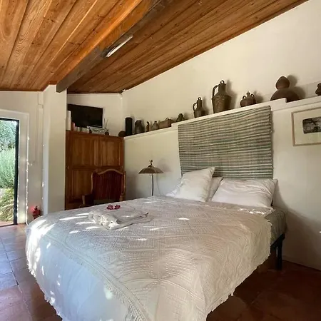 Charming Guest House With Pool And Garden Colares
